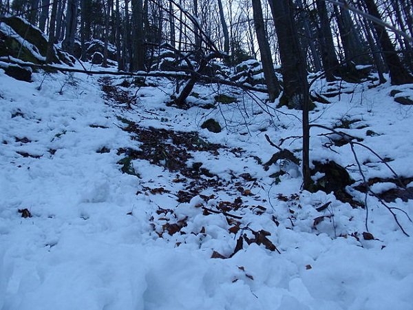 640px-Avalanche_(3253021877)