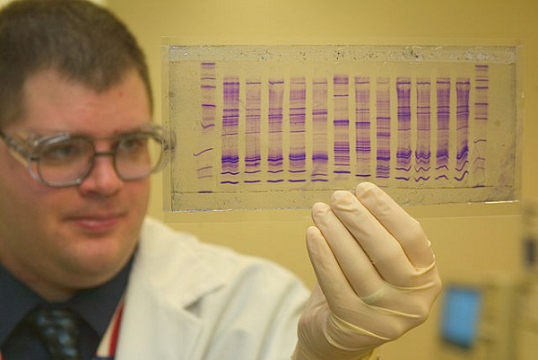 640px-CBP_chemist_reads_a_DNA_profile