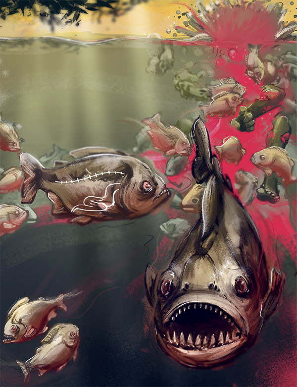 Quanto tempo levaria para piranhas comerem uma pessoa?