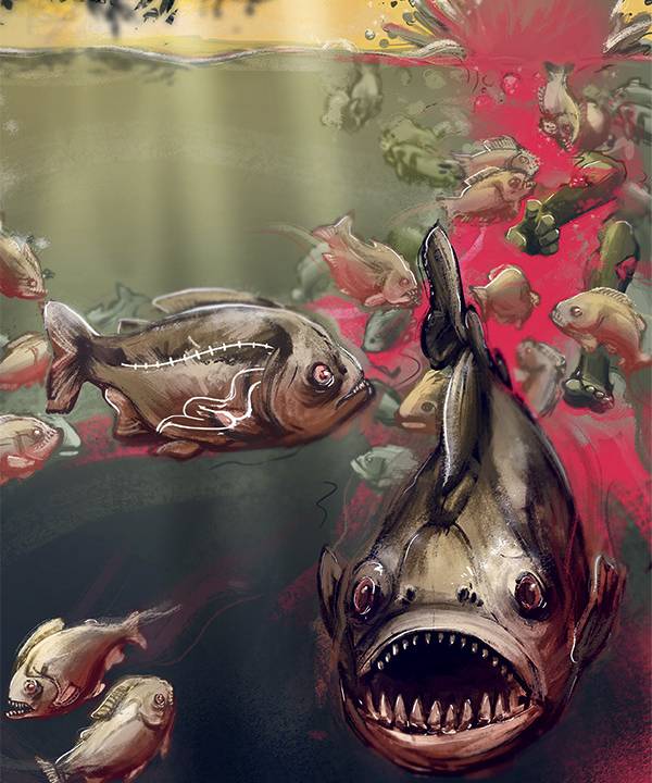 piranha