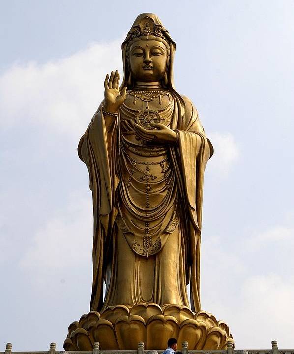 598px-20090606_Putuoshan_8786