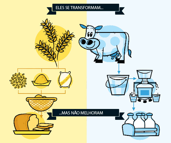 E Verdade Que Pao Integral Faz Bem E Leite Integral Faz Mal Super