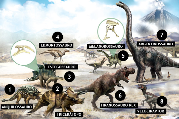 especies-dinossauros-encontradas