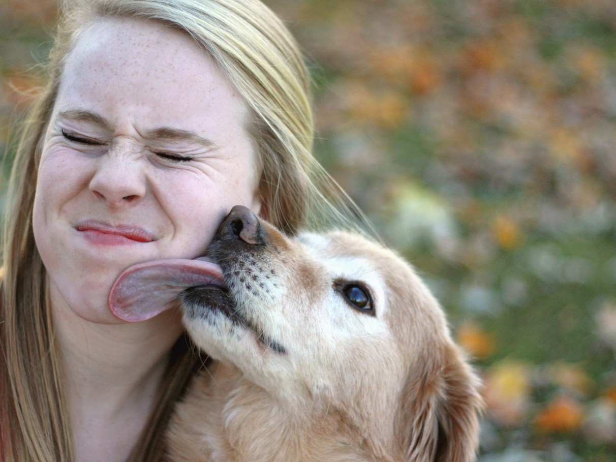 Lambida de cachorro pode causar doenças? | Super