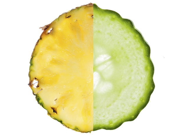 PEPINO ABACAXI