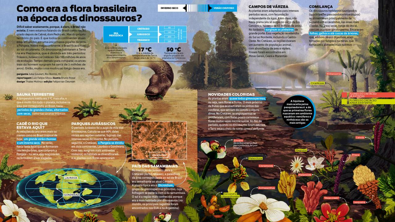 t_ME170_Flora dos dinossauros 04
