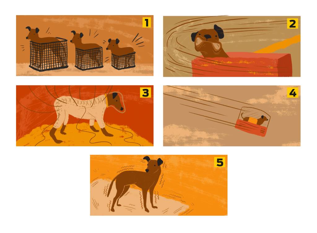 Como era o treino de animais para serem enviados ao espaço?