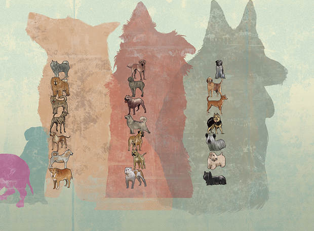 Existem raças de cachorro em risco de extinção?