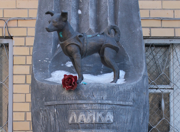 Laika monumento