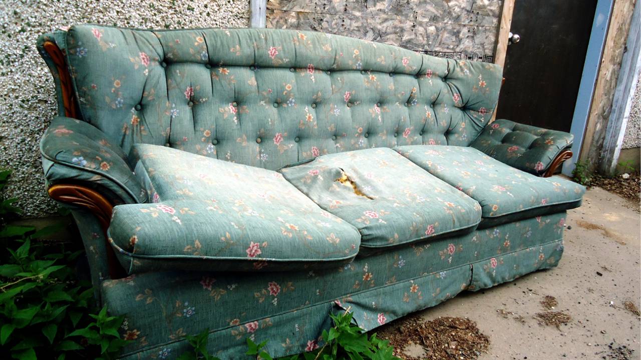 sofa