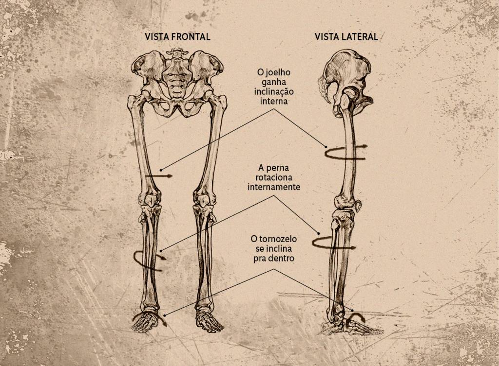 Para que serve a curva na sola do pé?