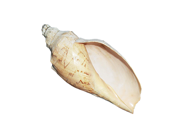 Quais modelos de moedas o Brasil já utilizou?