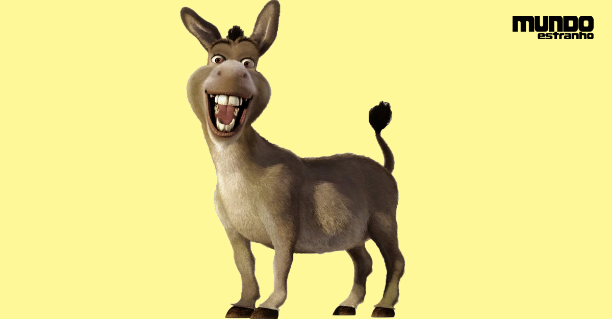 burro face