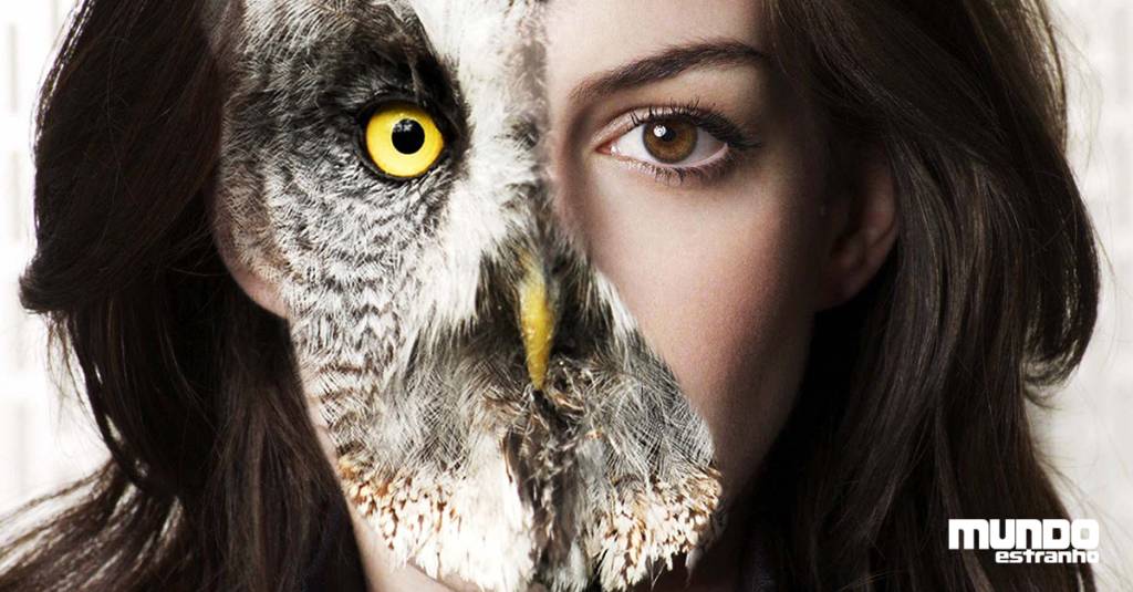 O que é um ser vivo?