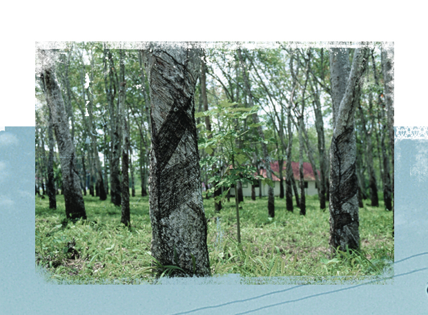 25 imagens sinistras de cidades fantasmas