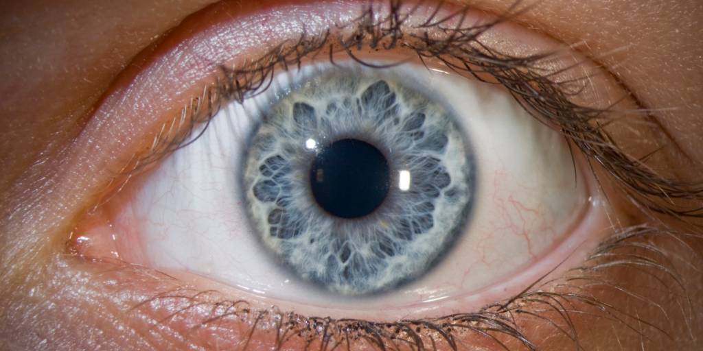 É verdade que os olhos mais claros são mais sensíveis à luz?