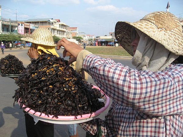 640px-fried_tarantula_cambodia