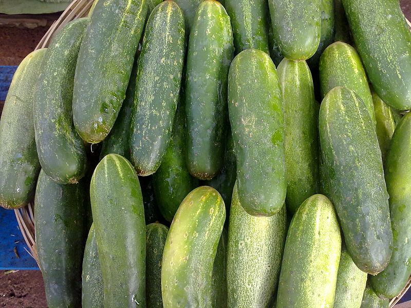 800px-cucumber_closeup