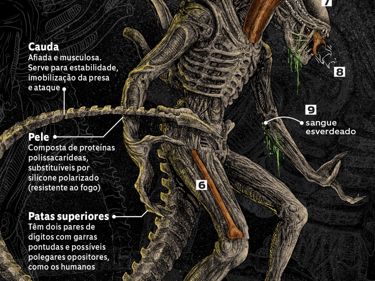 Como é a anatomia da criatura nos filmes da franquia R... | Super