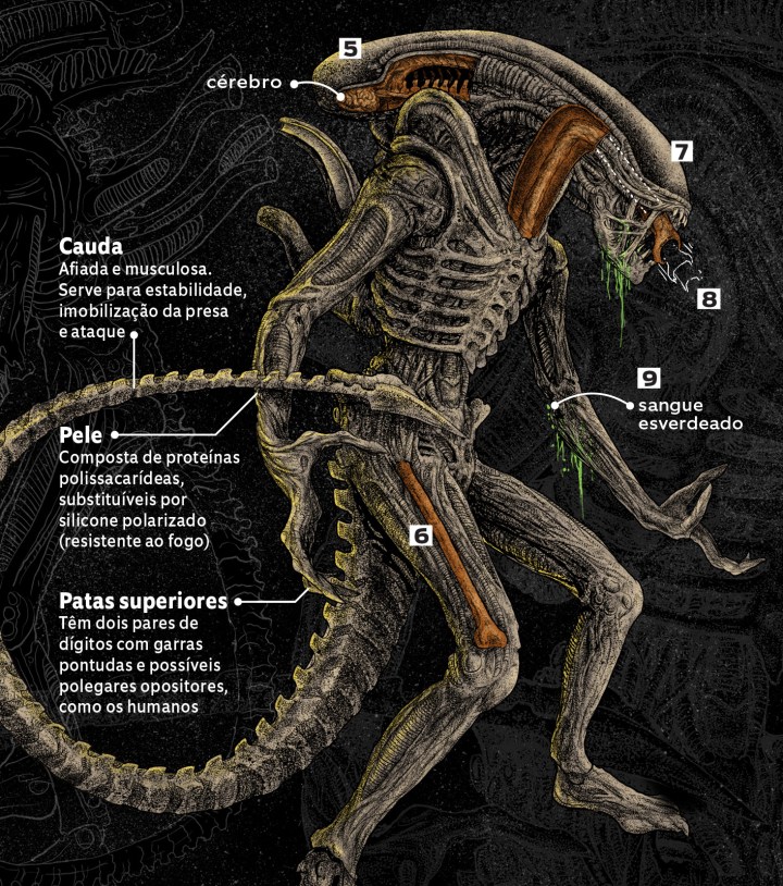 Como desenhar o Alien (Alien Convenant)  Filmes de ficção científica, Alien,  Ficção científica