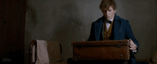 animaisfantasticos6
