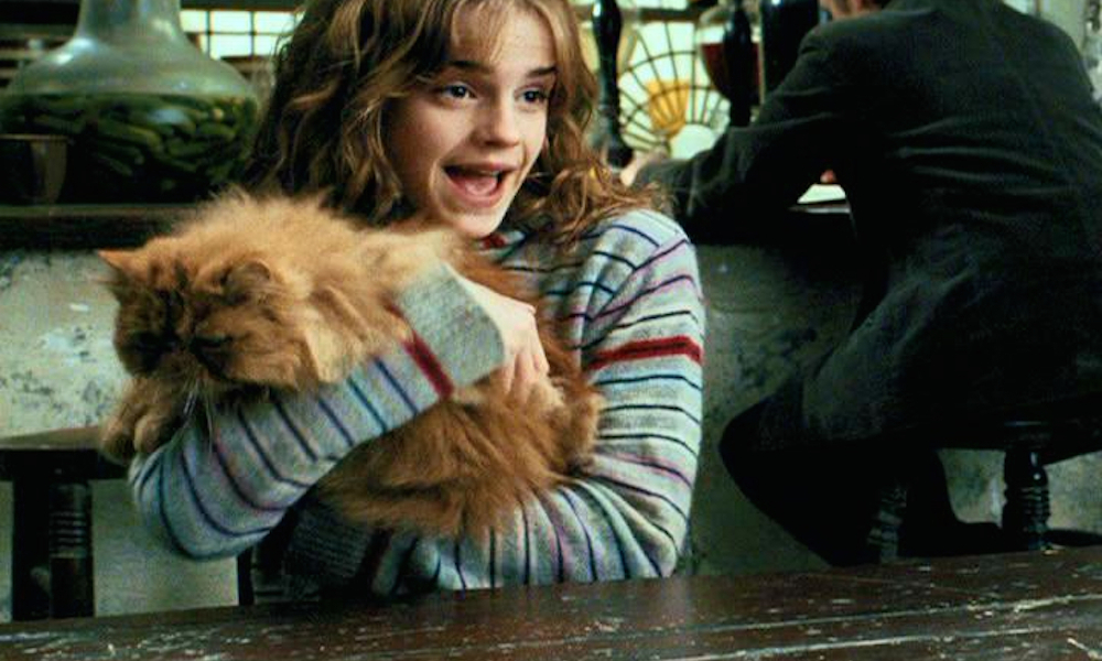 5 teorias de Harry Potter que vão te dar vontade de reler tudo | Super