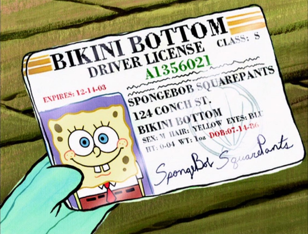 bob esponja