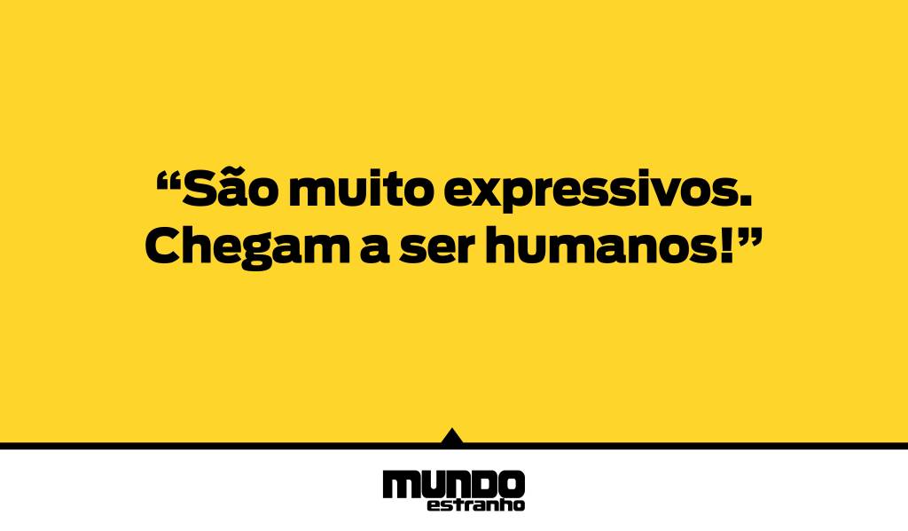 bryanherring: frases