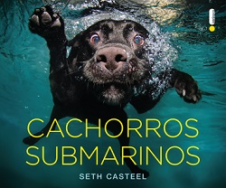caessubmarinos