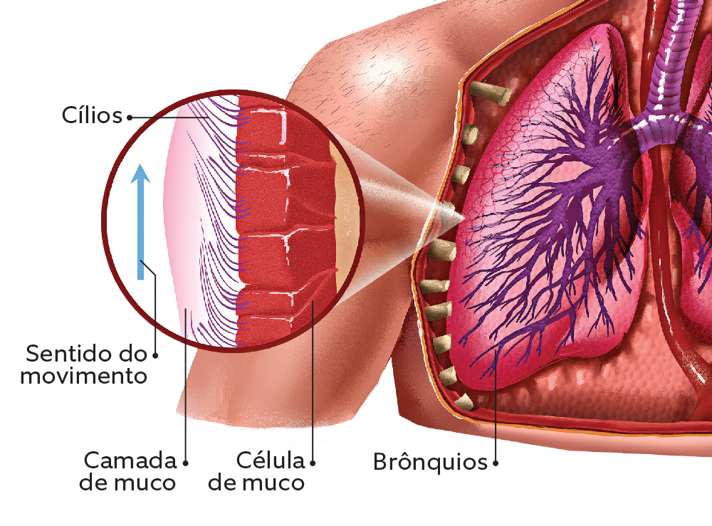 Engolir catarro faz mal para a saúde?