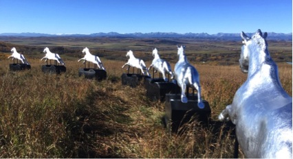 Cavalos de brinquedo são “soltos” na natureza