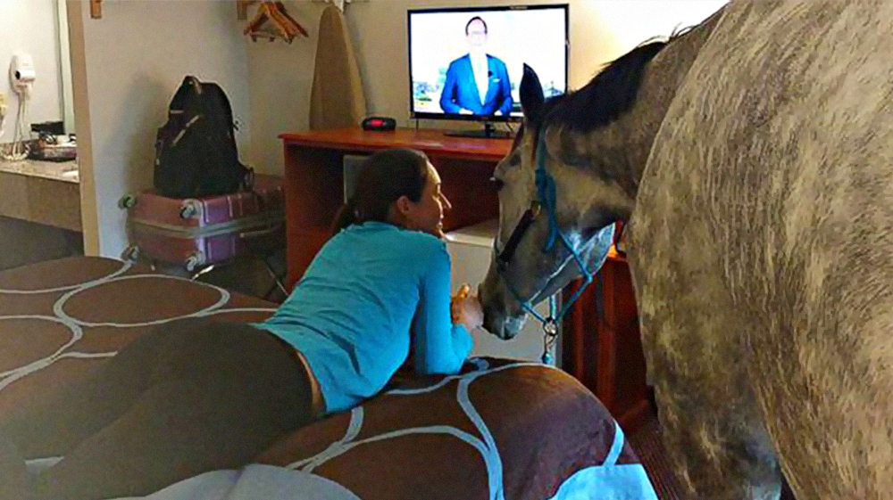 filmes mulher com cavalo