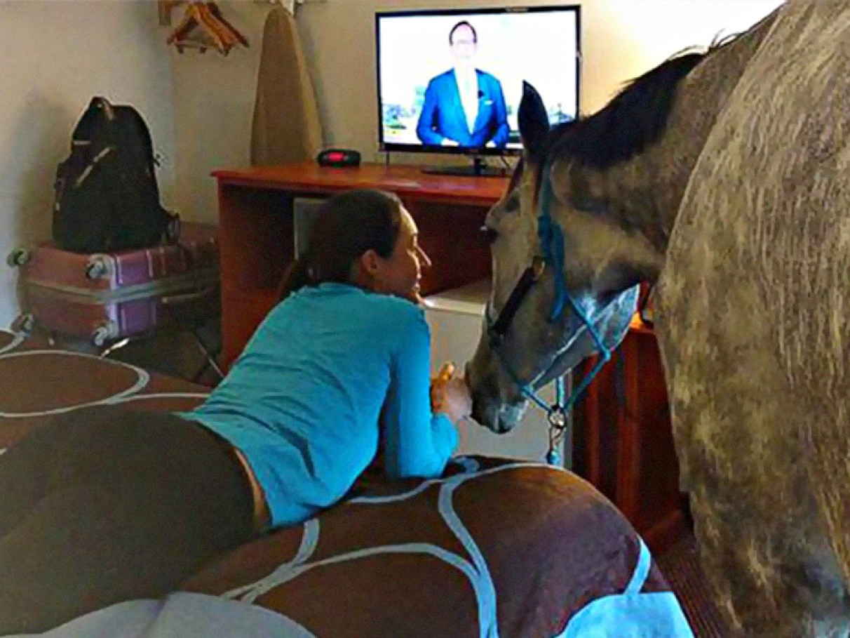 Mulher testa limites de hotel e leva cavalo para seu quarto | Super