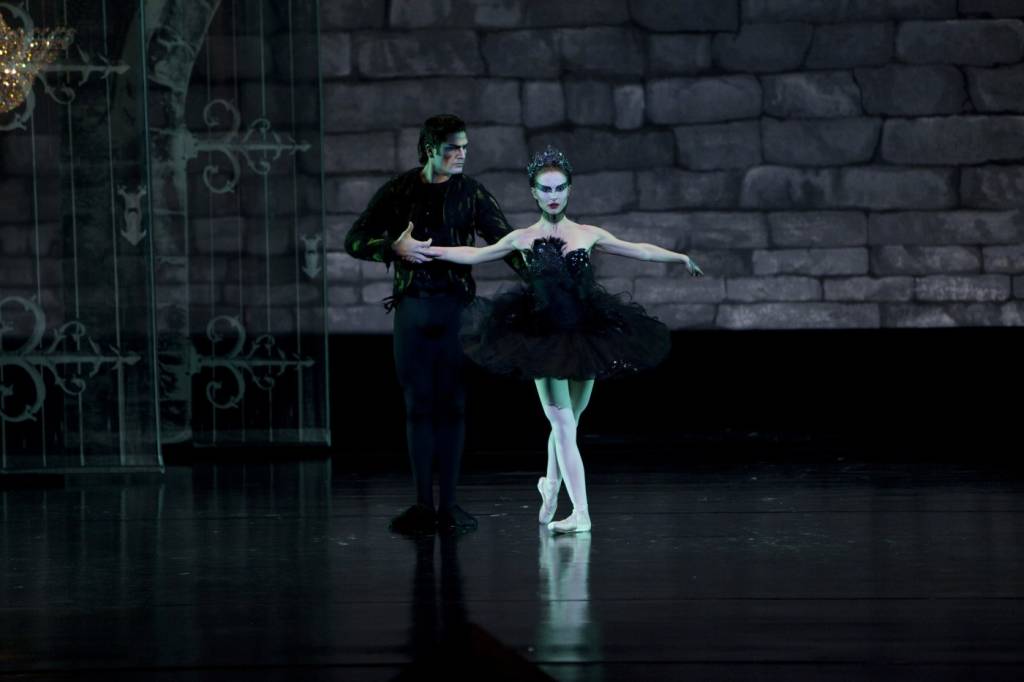 cisne negro