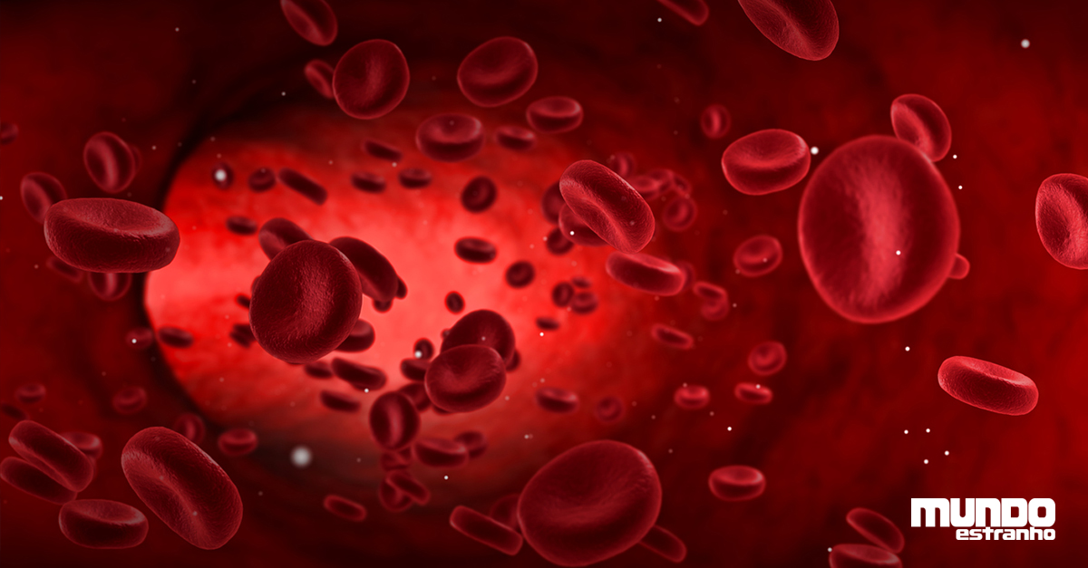 Quantos Litros De Sangue Um Ser Humano Tem No Corpo Como E Feito O Sangue Super