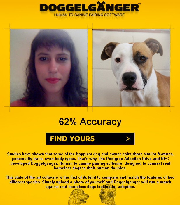 Você tem cara de cachorro?