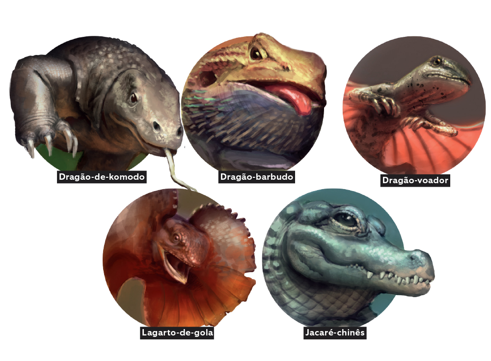 Ilustrações de cinco animais: dragão-de-komodo, dragão-rabudo, dragão-voador, lagarto-de-gola e jacaré-chinês
