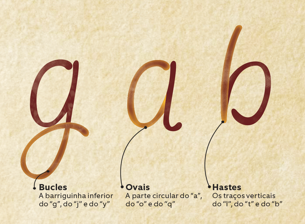 Como um especialista identifica uma assinatura falsa?