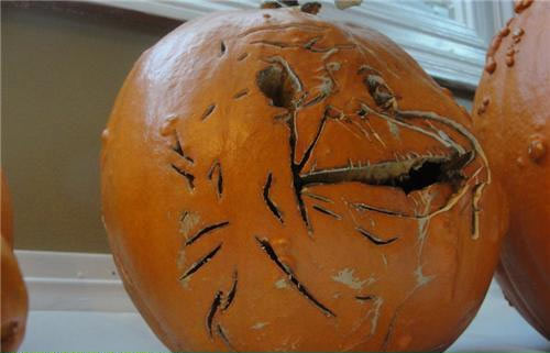 Você é o que você come?