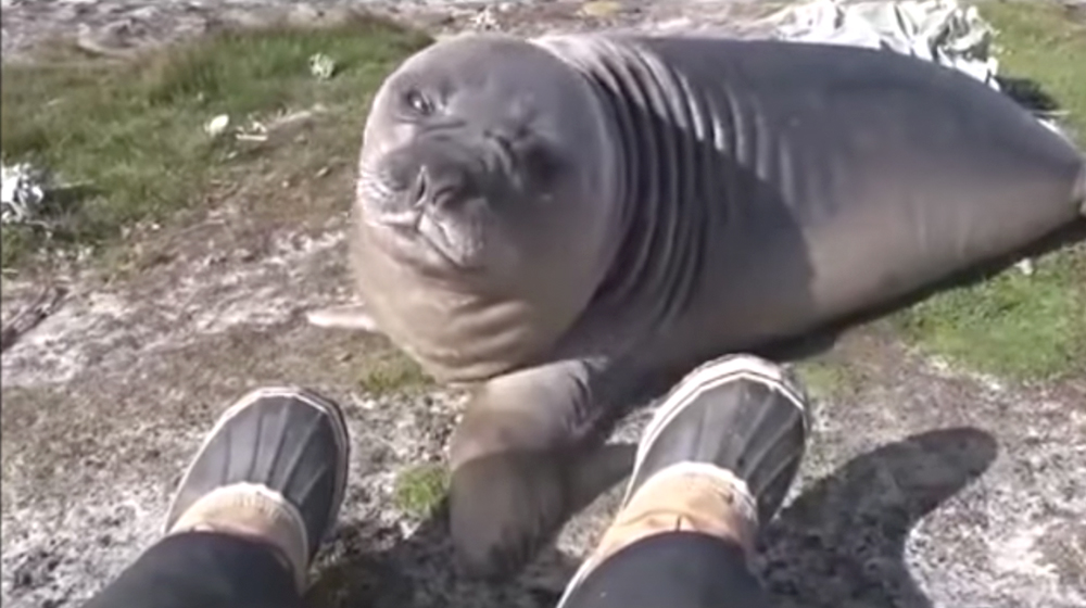 Vídeo mostra um exemplo de criatividade indo longe demais