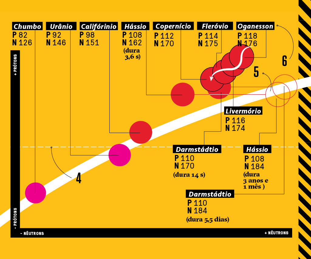 grafico_5