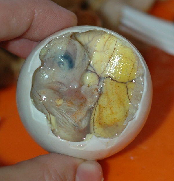 inside_a_balut_-_embryo_and_yolk