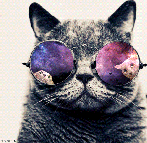 mad-cat