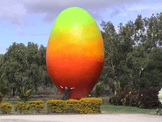 mango7ton