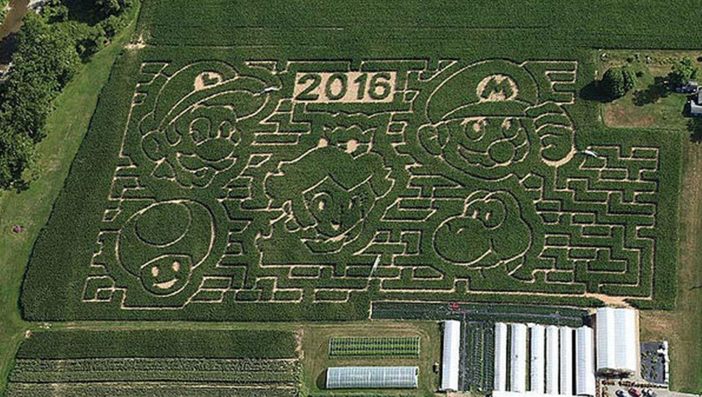 Fazenda em Nova York tem labirinto temático de Super Mario Bros.