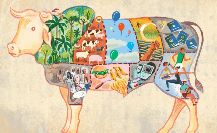 O que aconteceria se o mundo inteiro virasse vegetariano? - BBC News Brasil