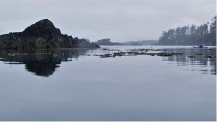 Homem mergulha em busca de pepino do mar e encontra arma nuclear