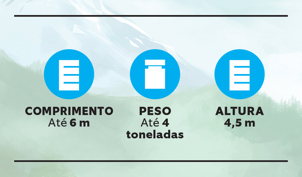 Preguiça-1