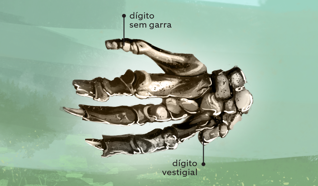 Preguiça-5