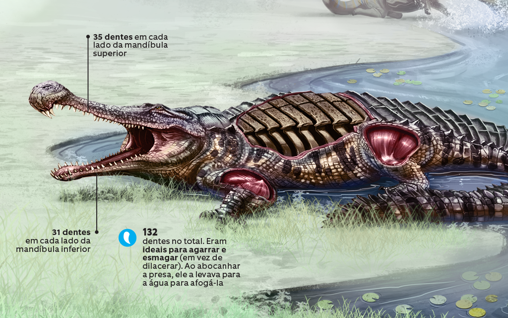 sarcosuchus-3